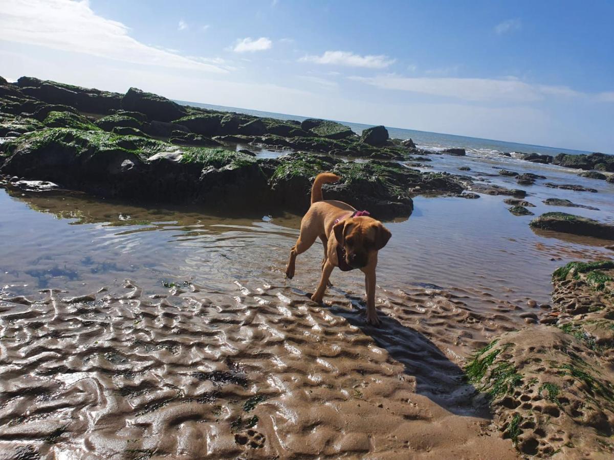 Beautiful Apartment 2 Mins To The Beach St Leonards-on-Sea 外观 照片